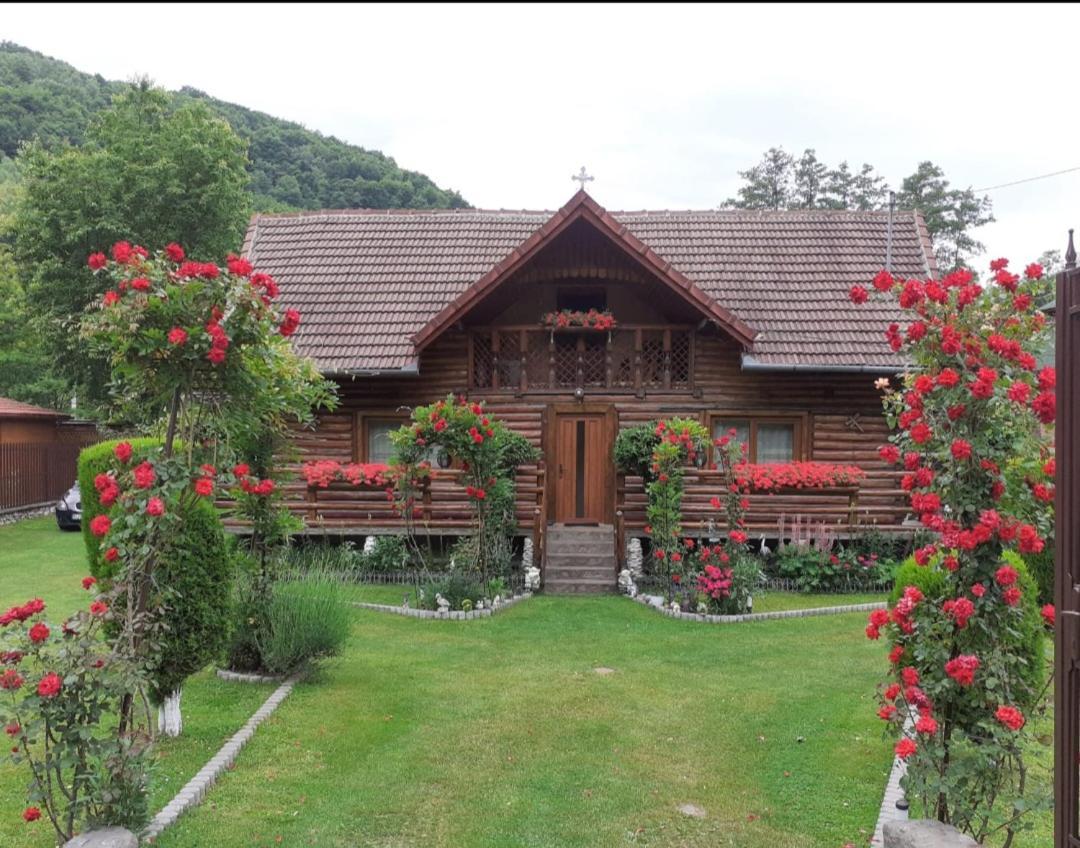 فندق Casa Bunicii Costeşti المظهر الخارجي الصورة