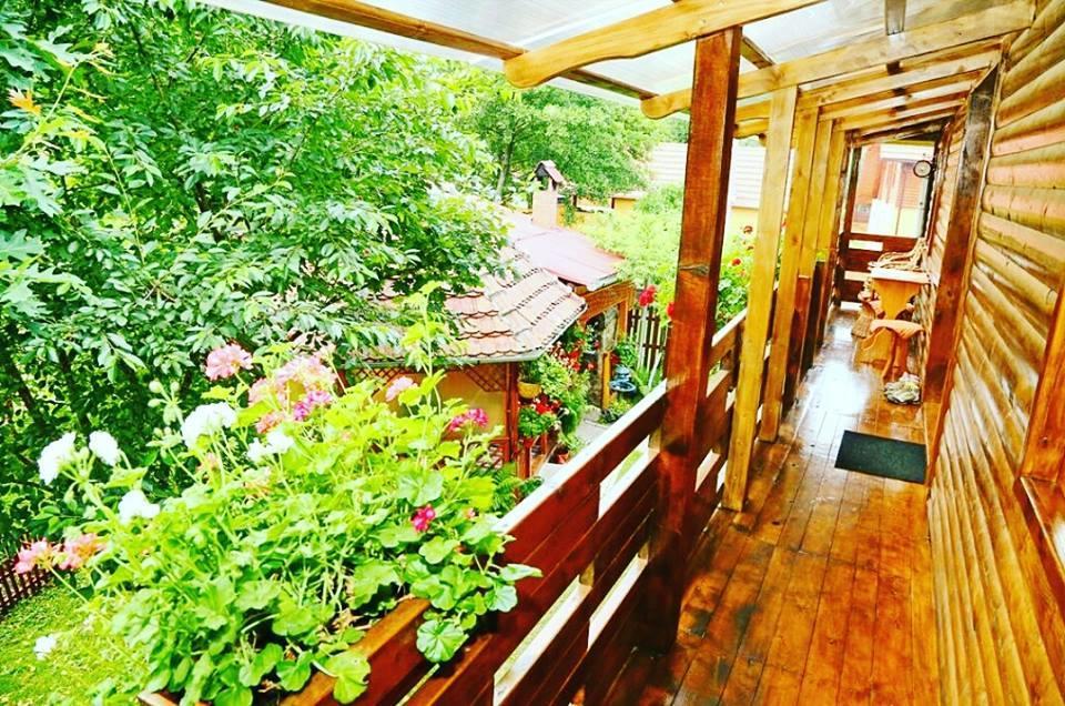 فندق Casa Bunicii Costeşti المظهر الخارجي الصورة