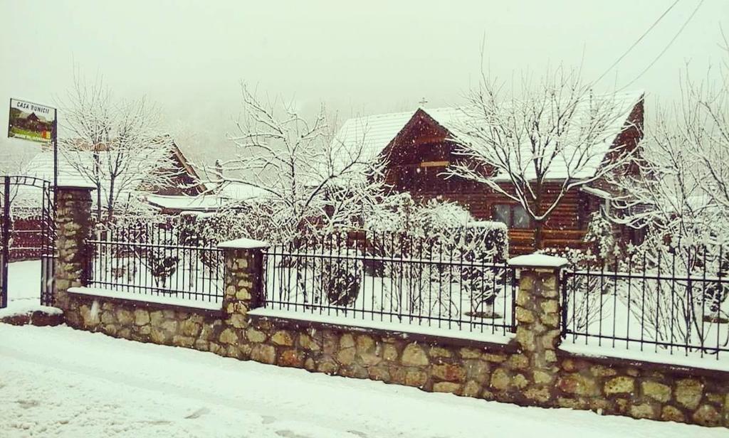فندق Casa Bunicii Costeşti المظهر الخارجي الصورة